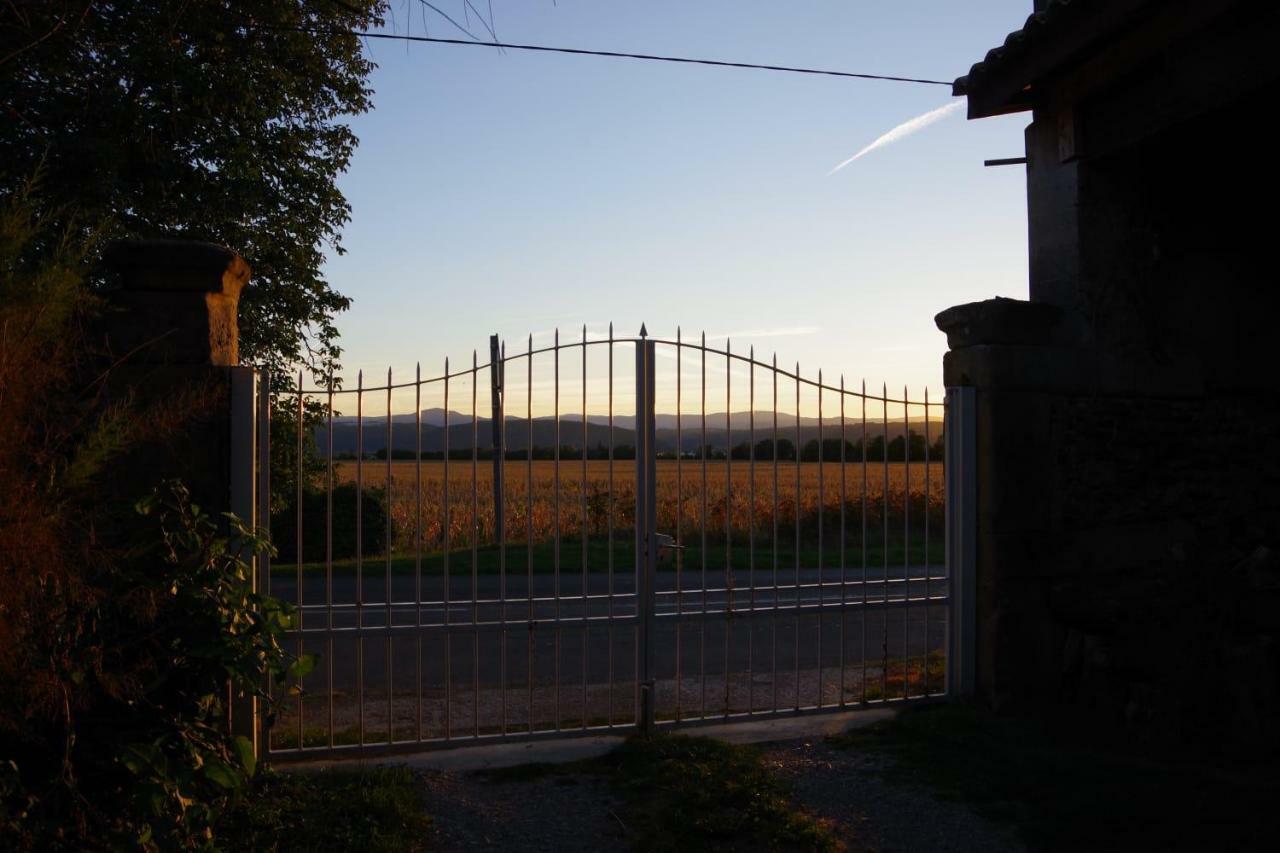 Magnificent Renovated Farmhouse - 10 Min A7 - Apartamento Anneyron Exterior foto